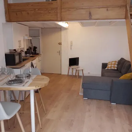 Mezzanine Hyper Centre, Au Pied Du Castillet Apartment Perpignan